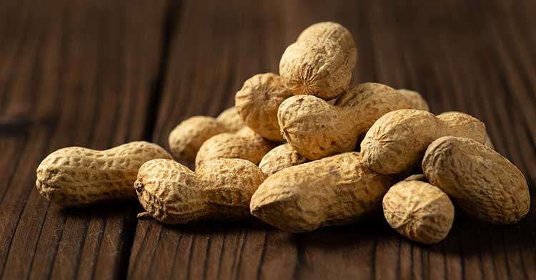 Palforzia is the first FDA approved drug to be used for peanut OIT