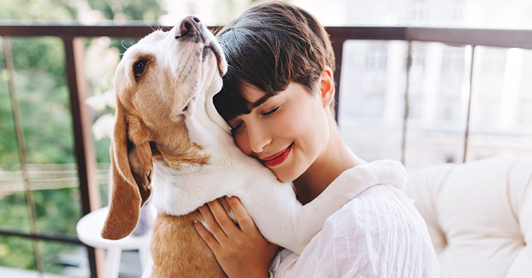 Common Indoor Allergy Myths