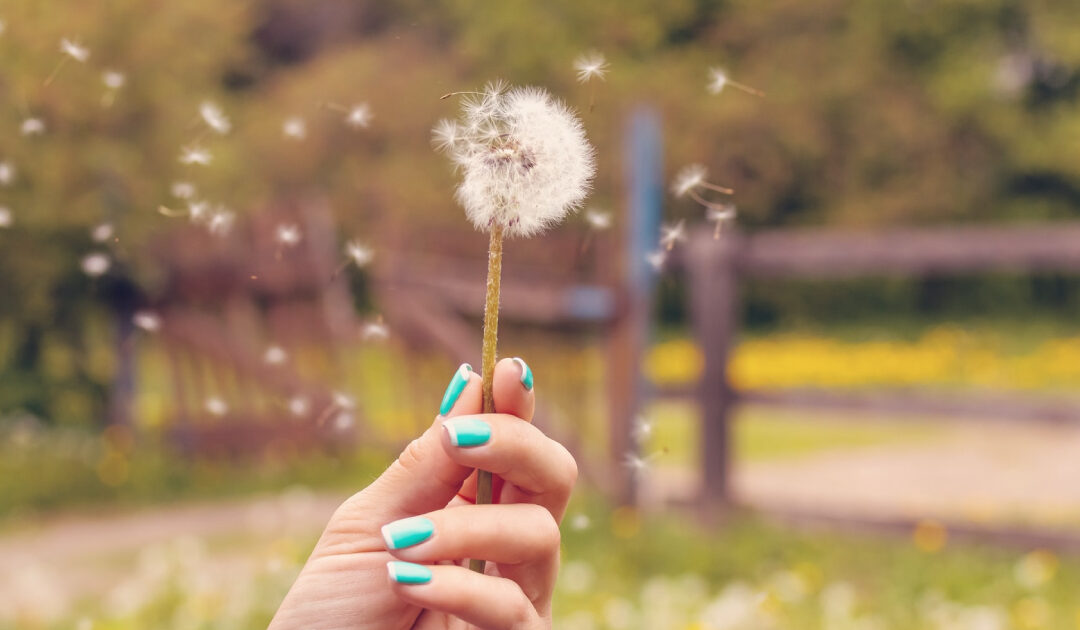 Steps to manage seasonal pollen symptoms in South African cities